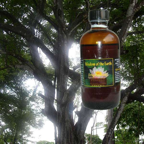Palo Santo Resin 120ml