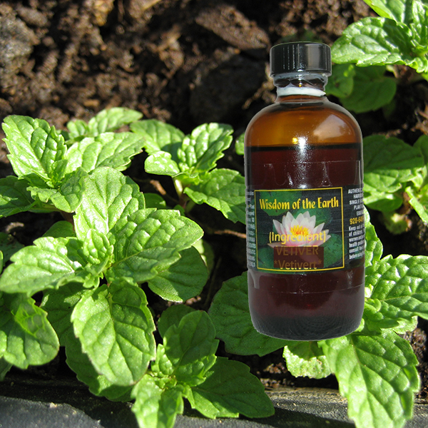 Peppermint France 120ml