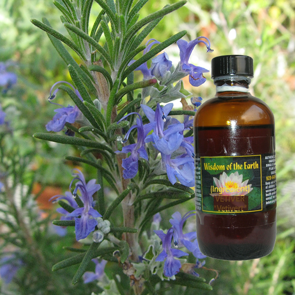 Rosemary Hi-Camphor 120ml