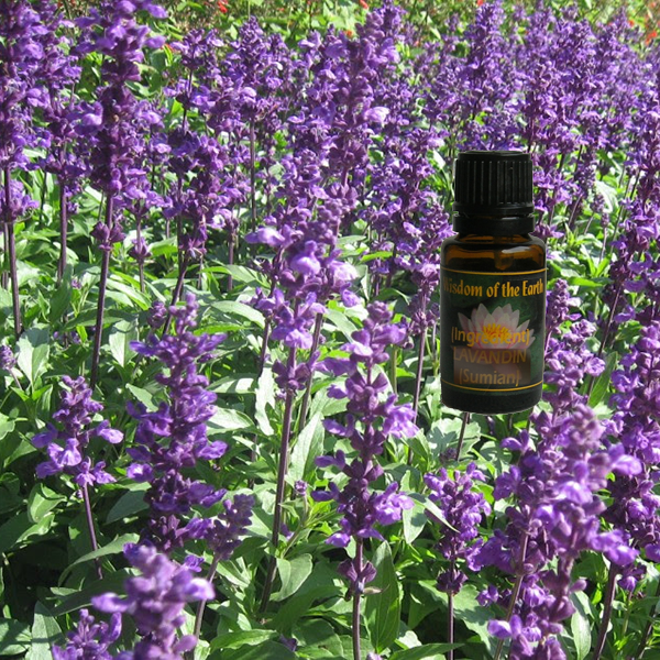 Sage True 15ml