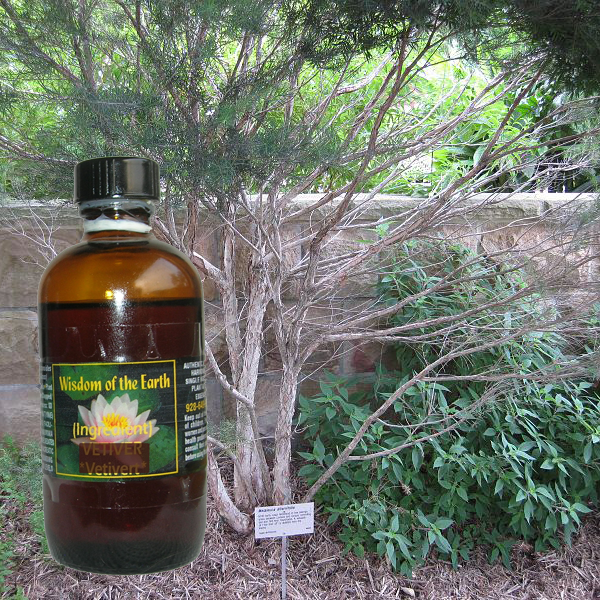 Tea Tree 120ml