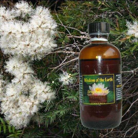Cajeput 120ml