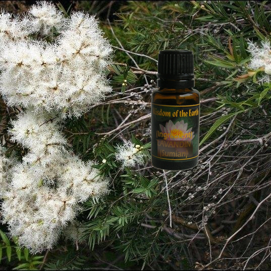 Cajeput 15ml