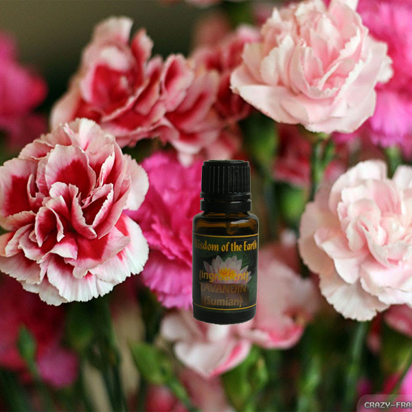 Carnation 15ml