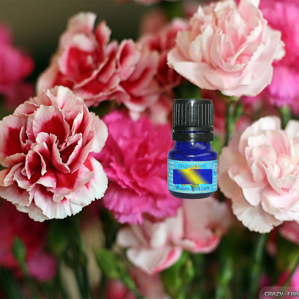 Carnation 2ml