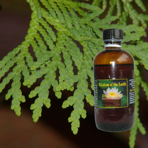 Cedar Leaf 120ml