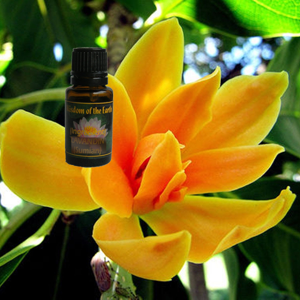Champaca 15ml