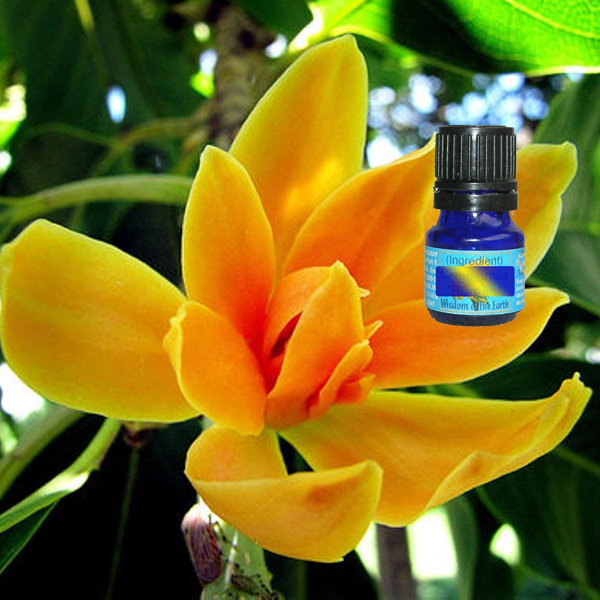 Champaca 5ml