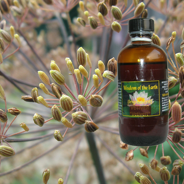 Dill Seed 120ml