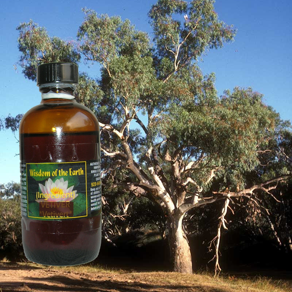 Eucalyptus Masala 120ml