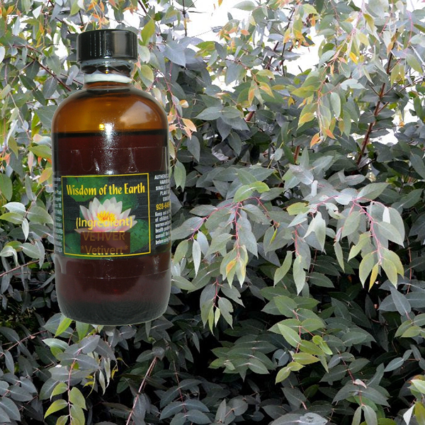 Eucalyptus Mint 120ml