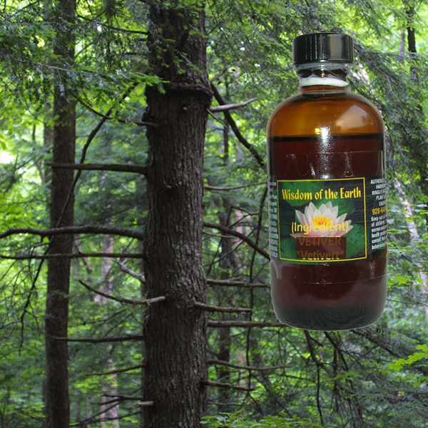 Fir Hemlock Eastern 120ml