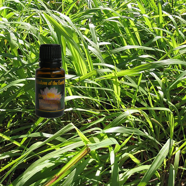 Himalayan Soti 15ml