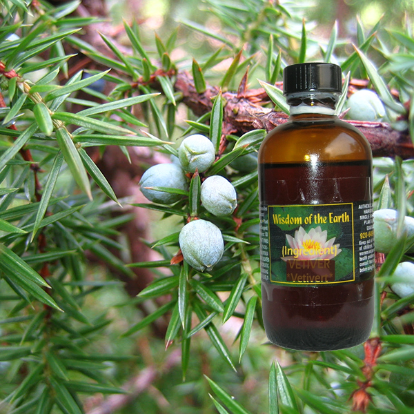 Juniper Berry Highland (Nepal) 120ml (berries only)