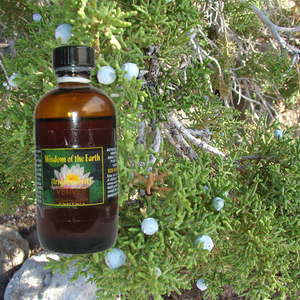 Juniper Berry Utah - 120 ml