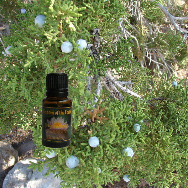 Juniper Berry Utah 15ml