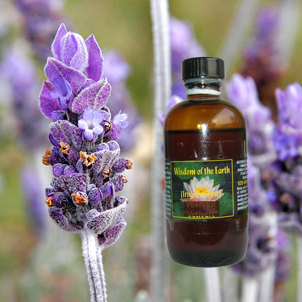 Lavender Albanian 120ml