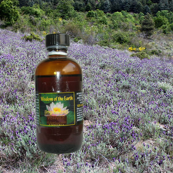 Lavender Highland  1400 m  120ml
