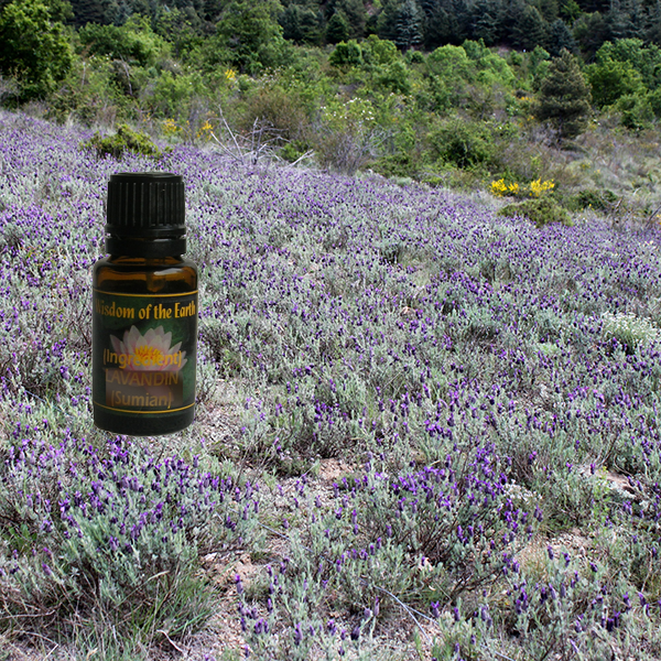 Lavender Highland 1400m 15ml