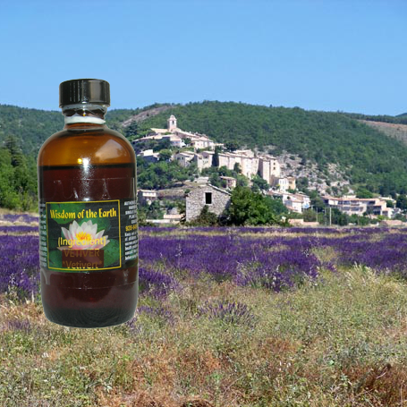 Lavender Highland 1600m 120ml