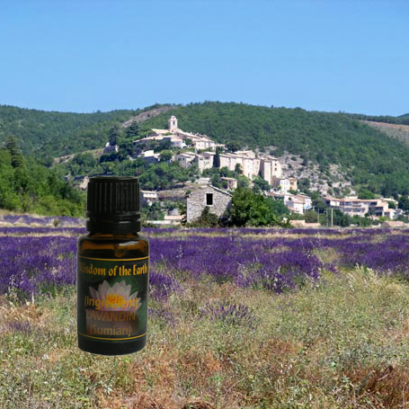 Lavender Highland 1600m 15ml