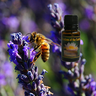 Lavender Highland 1800 15ml
