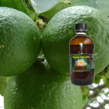 Lime Petigrain 120ml