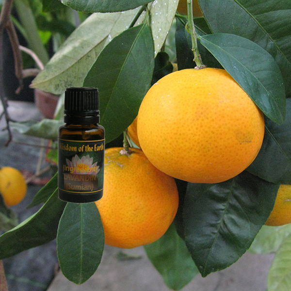 Mandarin Petigrain 15ml