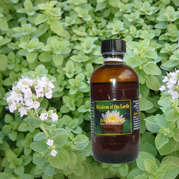 Marjoram Sweet 120ml