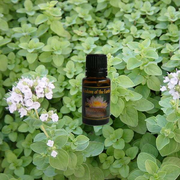 Marjoram Sweet 15ml