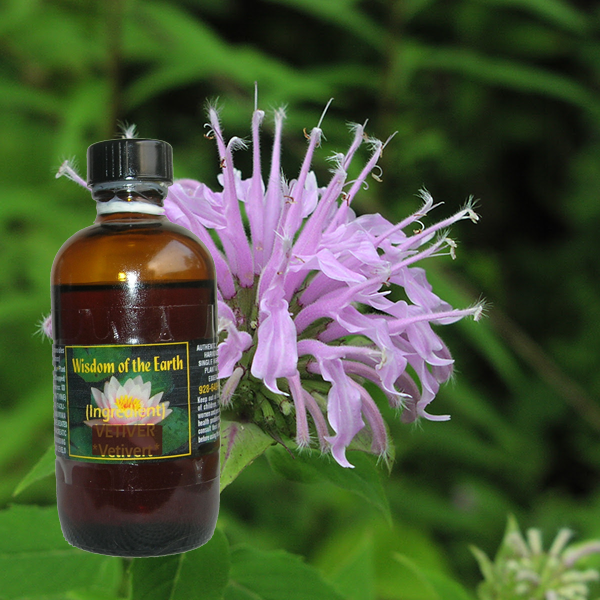 Monarda Fistulosa 120ml