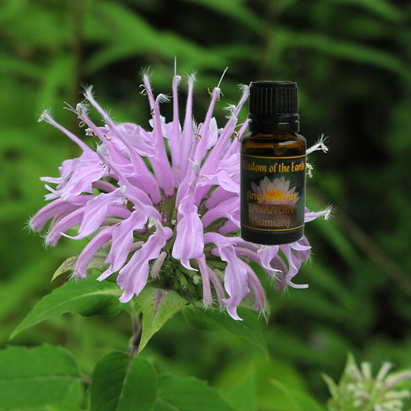 Monarda Fistulosa 15ml