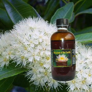 Myrtle Lemon 120ml