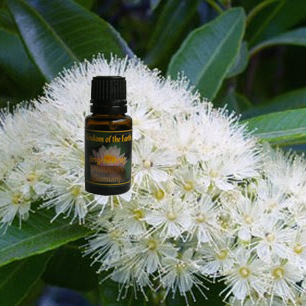 Myrtle Lemon 15ml