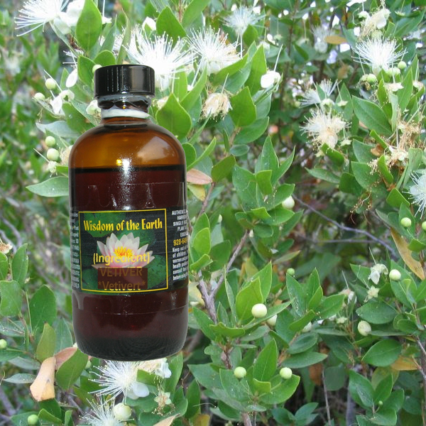 Myrtle Linalool 120ml