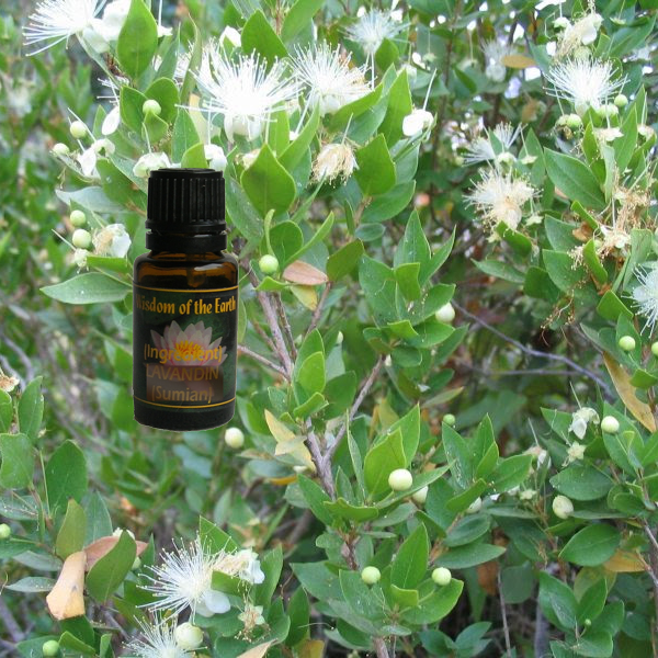 Myrtle Linalool 15ml