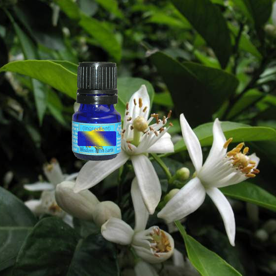 Neroli Egyptian (Orange Blossom) 5ml