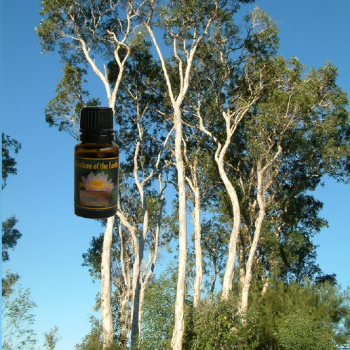 Nerolina 15ml