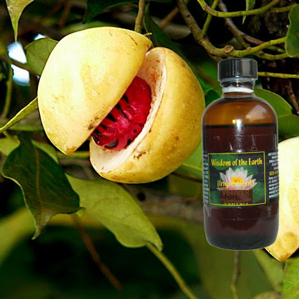 Nutmeg 120ml