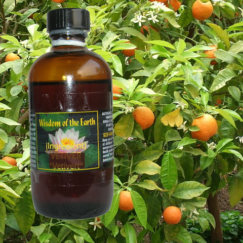 Orange Bigarade Petigrain 120ml