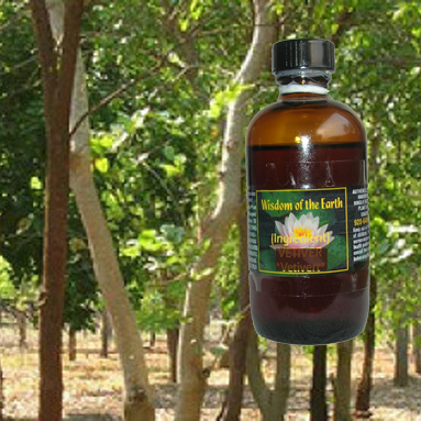 Sandalwood Spicatum 120ml