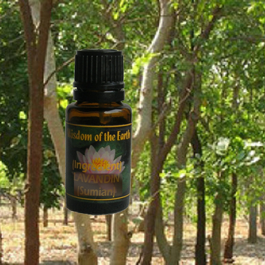 Sandalwood Spicatum 15ml