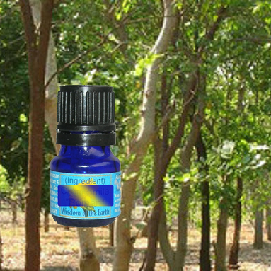 Sandalwood Spicatum 5ml
