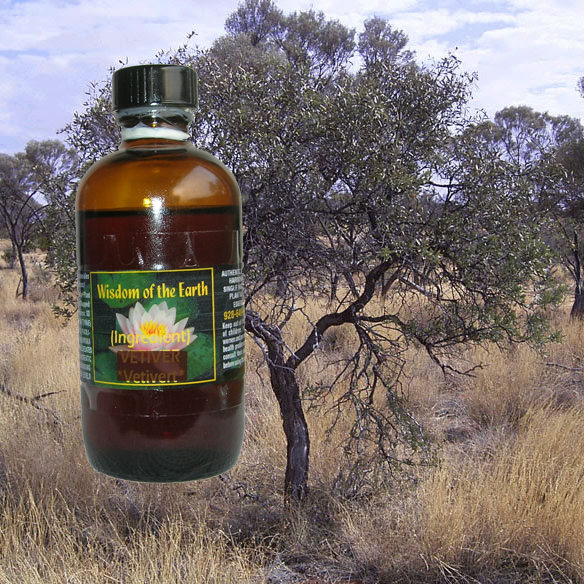 Sandalwood South Pacific 120ml