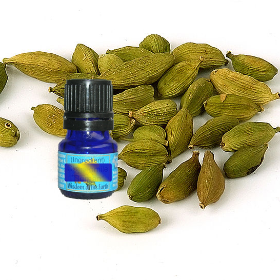 Cardamon Seed Gn 5ml