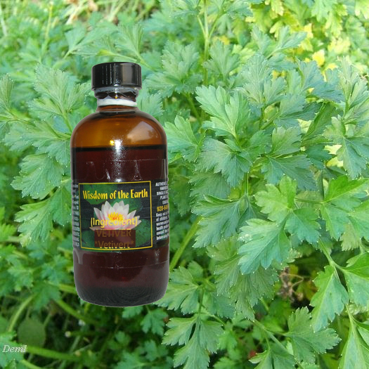 Parsley Seed 120ml