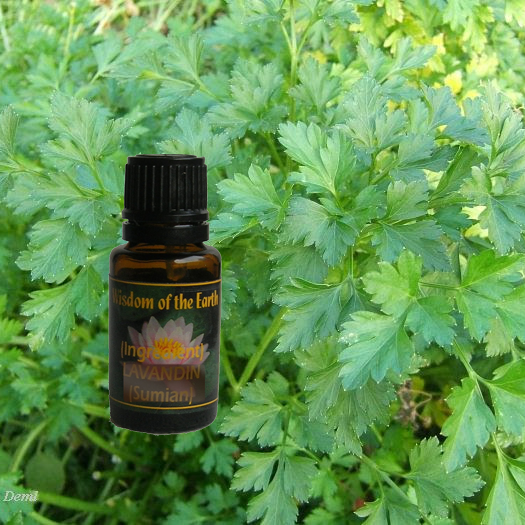 Parsley Seed 15ml
