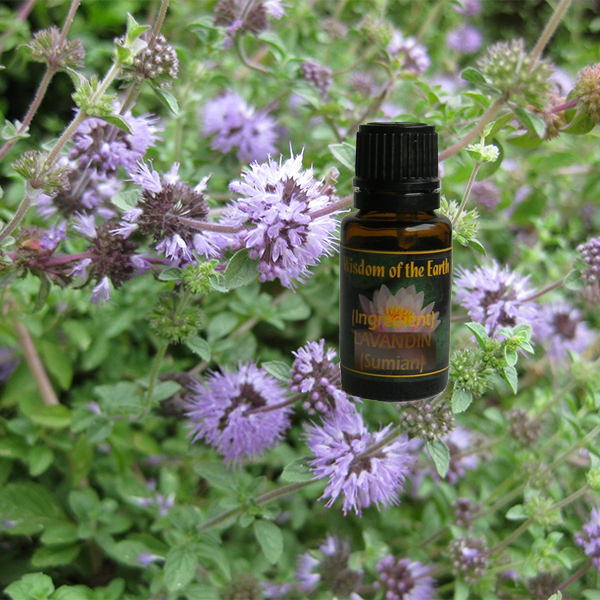 Pennyroyal 15ml