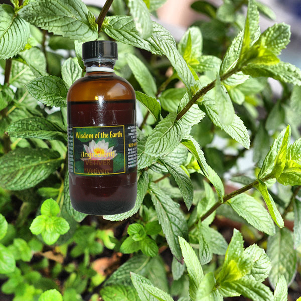 Peppermint U.S. 120ml