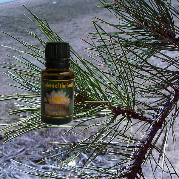 Pine Black 15ml